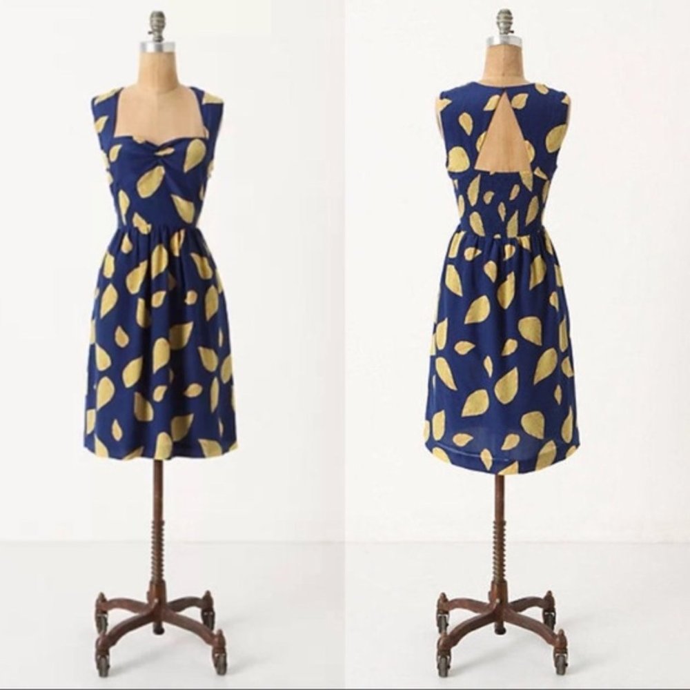 { Anthropologie } Maple Tupelo Dress